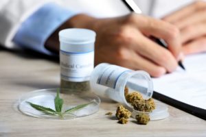 Diplomado Internacional sobre cannabis medicinal será online